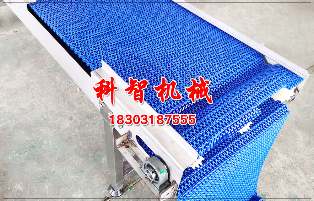 自動(dòng)化流水線塑料網(wǎng)帶輸送機(jī)輸送設(shè)備