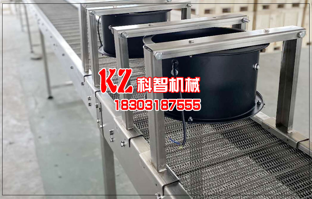 清洗提升不銹鋼網(wǎng)帶輸送機